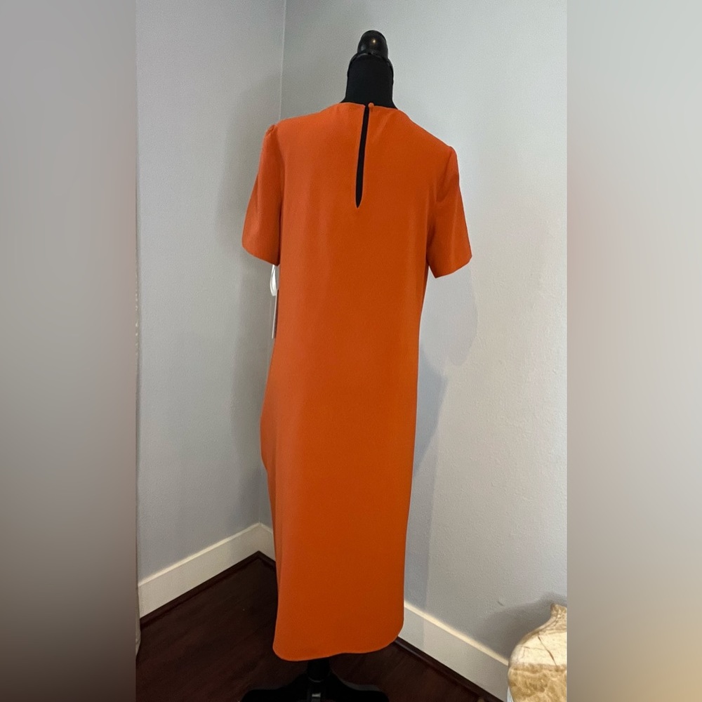 Bcbgeneration Size Small Pumpkin Spice Dress. New - image 2